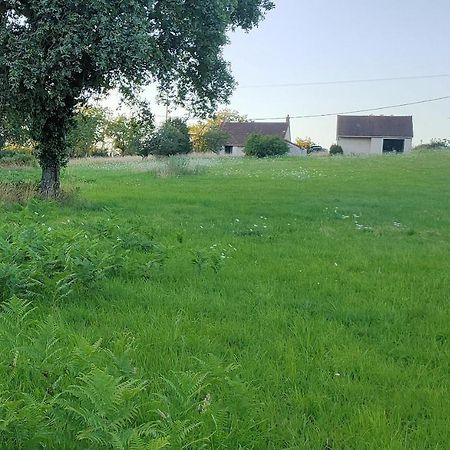 Le Champ Des Fougeres Vicq-Exemplet Exterior foto