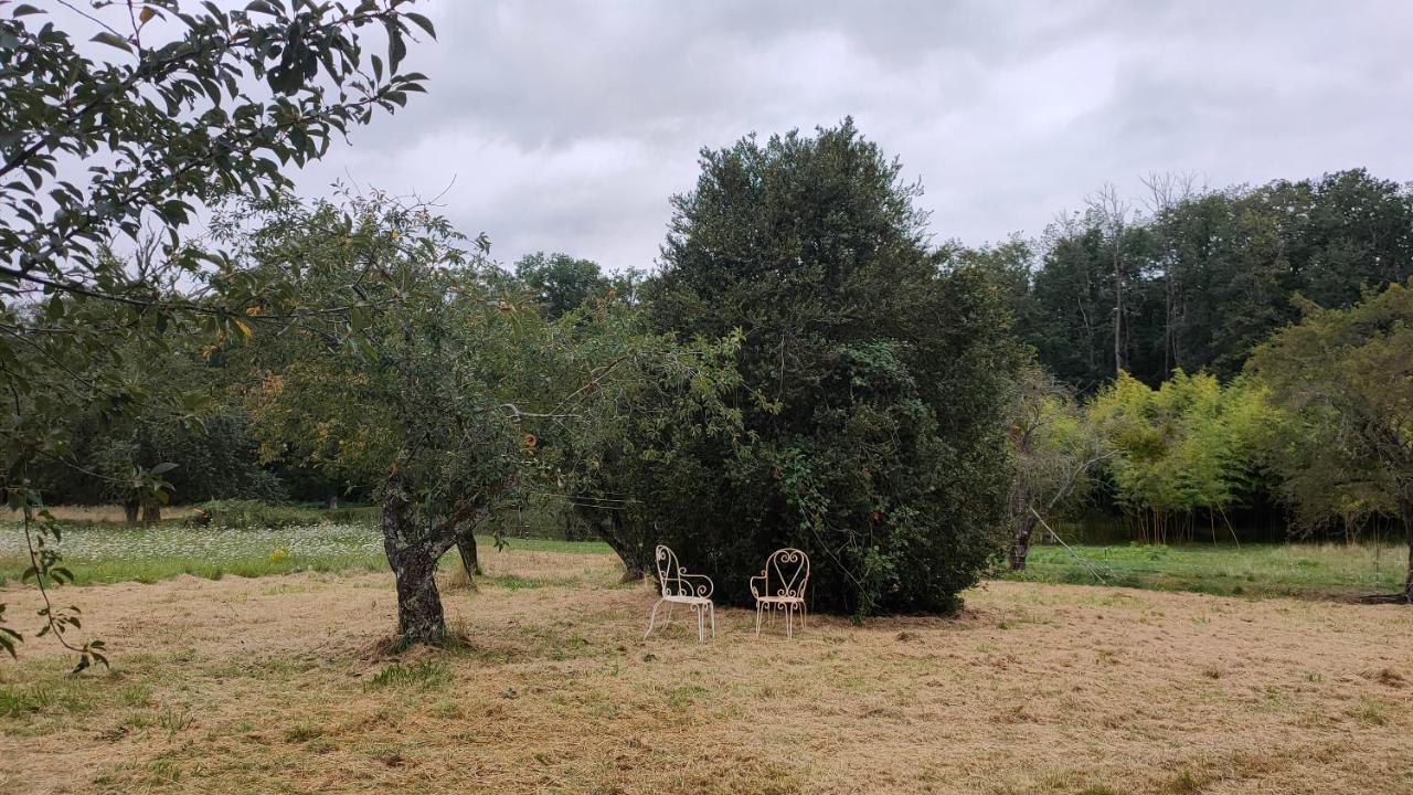 Le Champ Des Fougeres Vicq-Exemplet Exterior foto